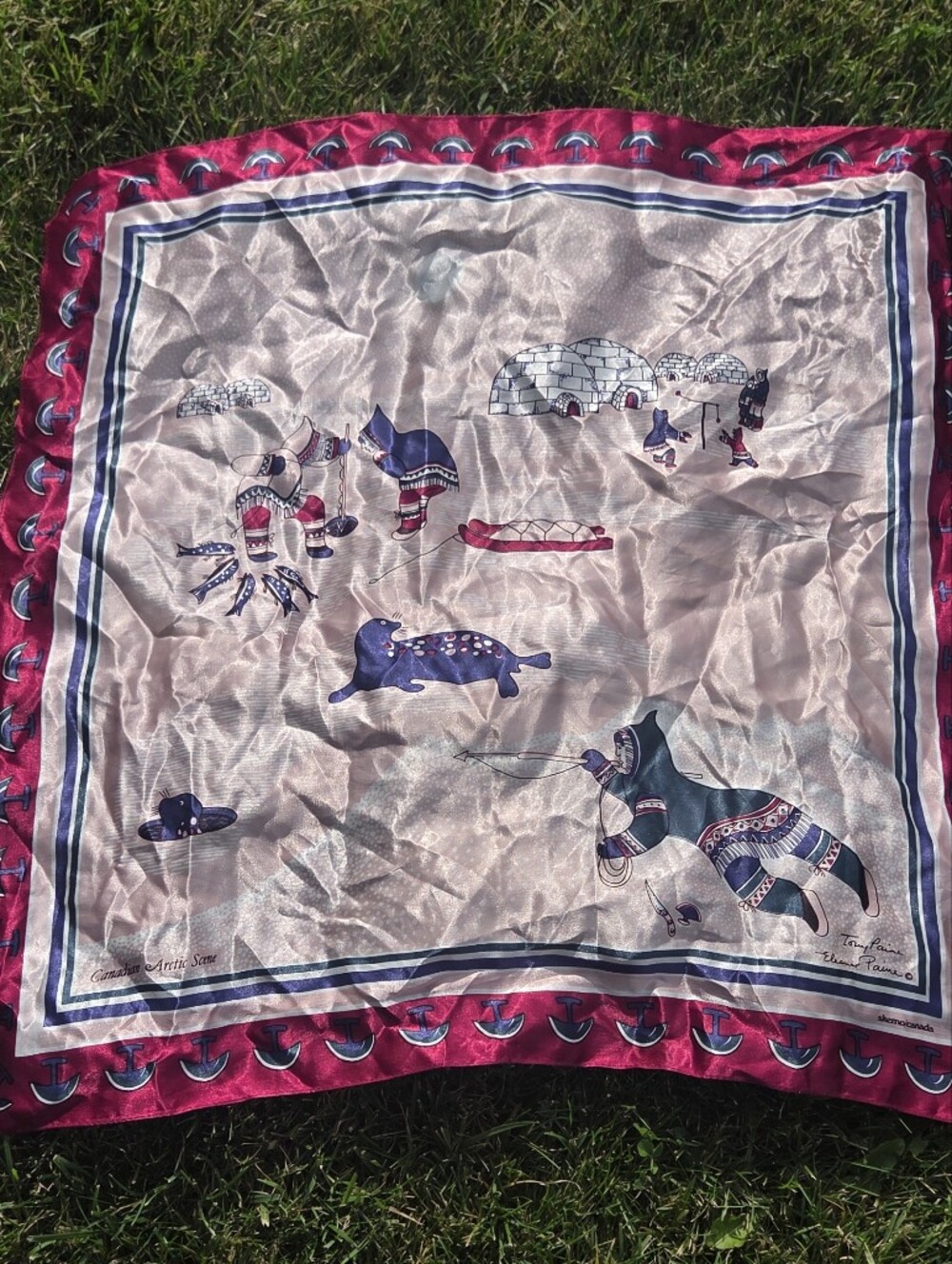 Skemo Pink Border Arctic Print Scarf